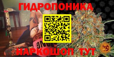 ГАЛЛЮЦИНОГЕННЫЕ ГРИБЫ Гусиноозёрск