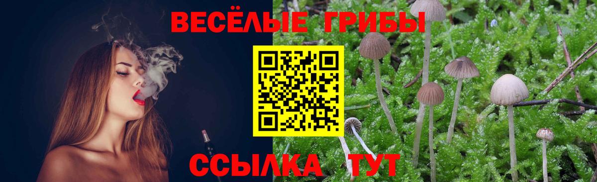 Галлюциногенные грибы Psilocybe  Вход с VPN  Нижневартовск 
